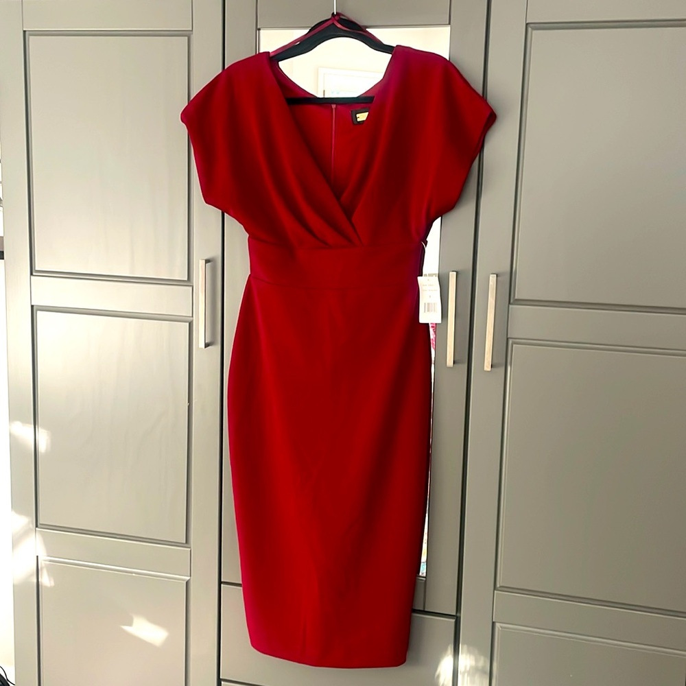 Alexia Admore New York Dress